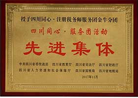 四川·同心注税服务团先进集体
