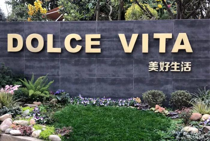 向往美好的生活,来一场狂欢的夏日盛宴~