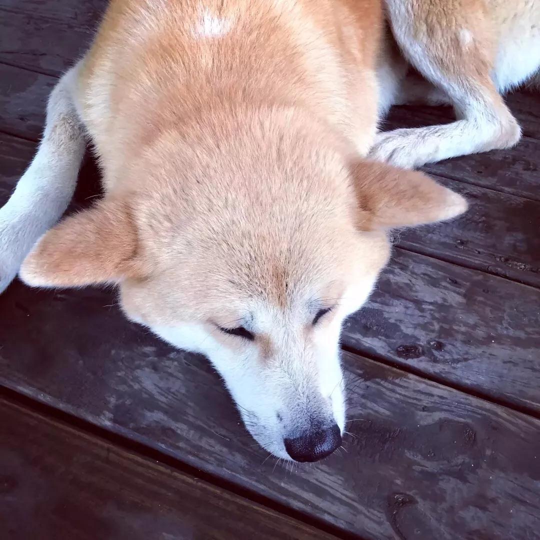 向往美好的生活,来一场狂欢的夏日盛宴~