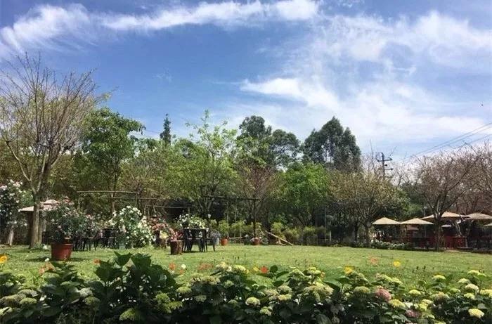 向往美好的生活,来一场狂欢的夏日盛宴~