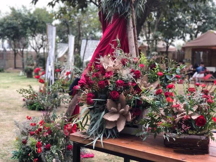 向往美好的生活,来一场狂欢的夏日盛宴~